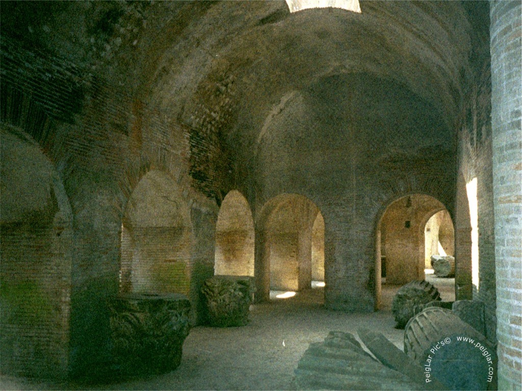 it pozz 76544_11dt.jpg